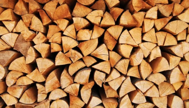 Richiesta legna combustibile - Anno 2024